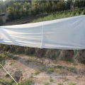 Sss Agriculture Cotton-Like-Soft Hydrophobic Fabric